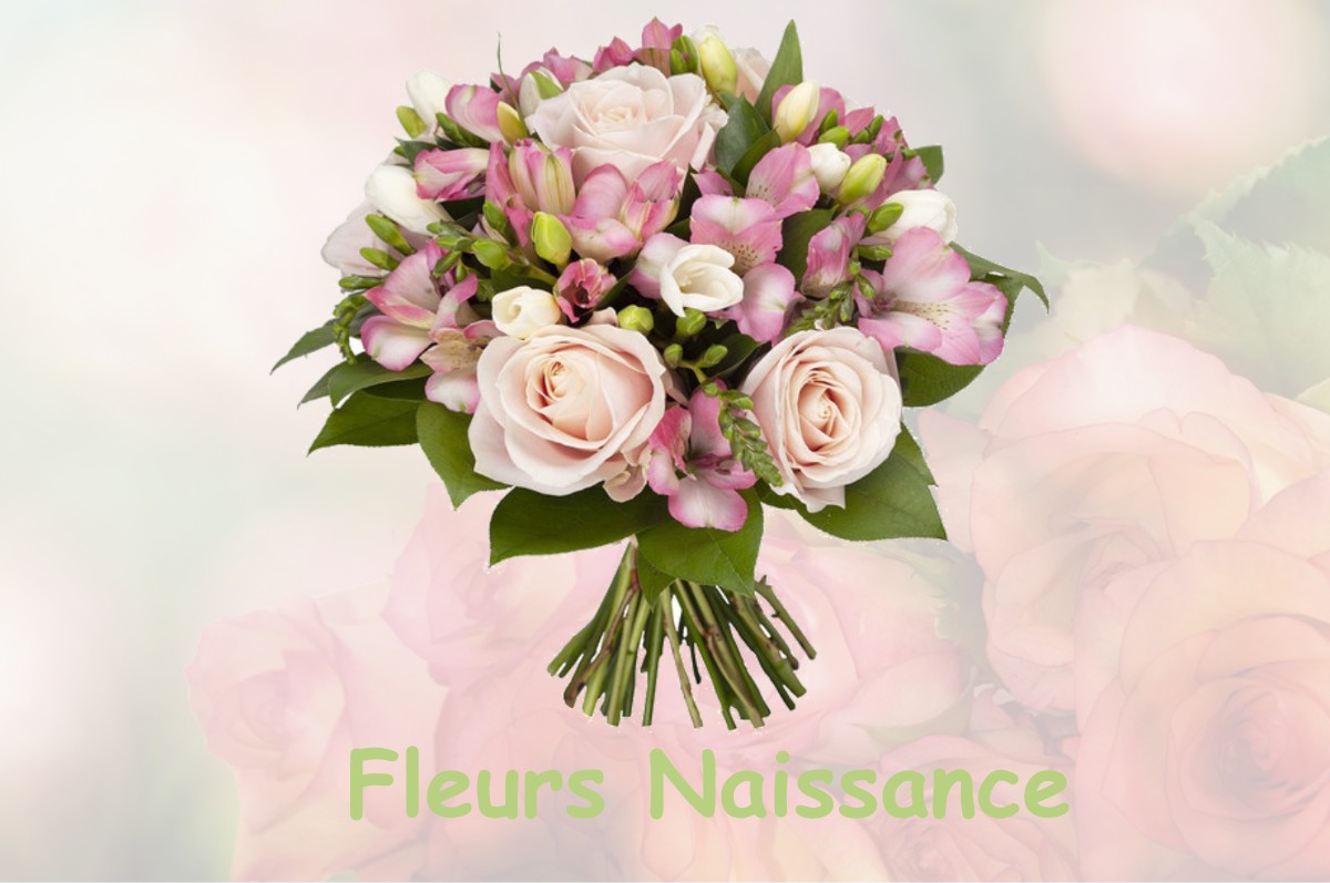 fleurs naissance LE-FRESNE-CAMILLY